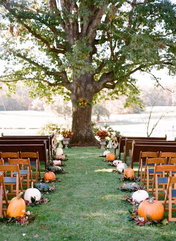 pumpkin-wedding