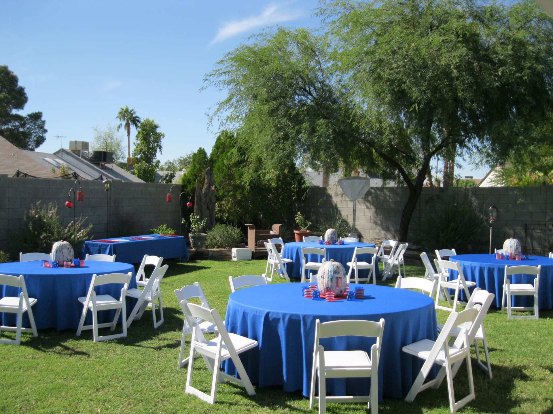 Patriotic Backyard Party