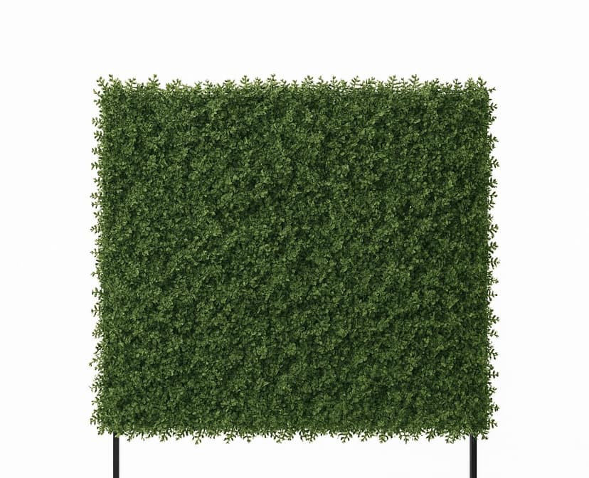 Box Greenery Backdrop (Delivery Only)